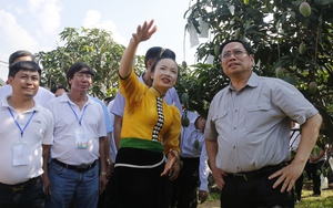 39 năm Báo Nông thôn Ngày nay ra số đầu tiên: Những dấu son trên hành trình cùng nông dân làm giàu