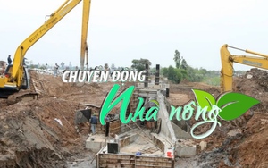 Chuyển động Nhà nông 7/5: Hải Phòng gấp rút hoàn thành các cống xung yếu trước mùa mưa bão