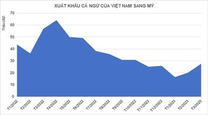 Xuất khẩu cá ngừ sang Mỹ giảm 53% trong quý I/2023, chưa có dấu hiệu khởi sắc