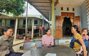 Kon Tum: Nông dân Sa Thầy có của ăn của để từ vốn vay Ngân hàng Chính sách xã hội