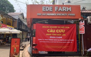 Tranh chấp tại dự án đường sách cà phê Buôn Ma Thuột: Một doanh nghiệp cầu cứu lãnh đạo tỉnh Đắk Lắk 