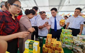 Quảng Nam đưa 300 sản phẩm OCOP ra Đà Nẵng quảng bá