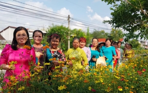 Đường hoa nông thôn mới đẹp như phim ở một xã của TP Hồ Chí Minh, ai qua cũng khen tấm tắc