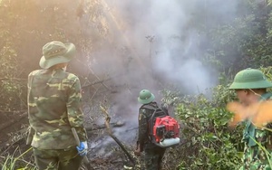 Hà Tĩnh: Hàng trăm người lao vào rừng dập tắt đám cháy ở Hồng Lộc