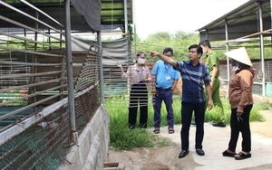 Cử tri Đồng Nai yêu cầu giải quyết rốt ráo tình trạng chăn nuôi gây ô nhiễm 