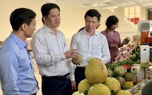 Hội Nông dân Bắc Giang đồng hành cùng hội viên phát triển kinh tế tập thể, nâng cao thu nhập