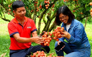 Làm báo chí kiến tạo thực sự mới có thể chiến thắng 