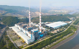 Nhiệt điện Quảng Ninh (QTP) lên kế hoạch lợi nhuận giảm 42%, cổ tức 2022 bằng tiền mặt 22,5%