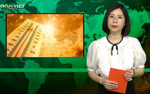 Bản tin Dân Việt Nóng 2/6: Bắc Bộ bước vào ngày nắng nóng gay gắt nhất, đề phòng cháy nổ, đột quỵ