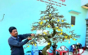 Trồng loại cây cảnh một năm chỉ nở hoa rộ một lần, một nông dân ở Bình Định thu nhập tiền tỷ