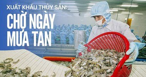 Rabobank: Các công ty thủy sản có thể lạc quan về thị trường Trung Quốc - Ảnh 4.