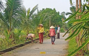 Tuyến đường hoa, cây xanh đẹp như mơ ở một xã của Quảng Nam do cán bộ, hội viên, nông dân trồng, chăm sóc