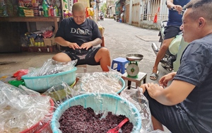 Bên trong "thủ phủ" cơm rượu ngày Tết Đoan Ngọ ở Hà Nội