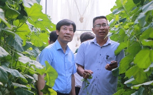 Phó Chủ tịch BCH TƯ Hội NDVN Nguyễn Xuân Định: Kinh tế vườn giúp nhiều nông dân Bình Phước khá giả