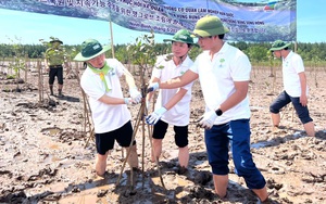 Bộ trưởng Cơ quan Lâm nghiệp Hàn Quốc tham gia trồng rừng ngập mặn tại Ninh Bình