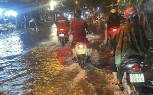 Nước ngập, cây ngã, nhiều nơi tại TP.HCM “hỗn loạn” sau cơn mưa kéo dài hơn 1 giờ đồng hồ