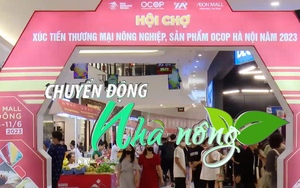 Chuyển động Nhà nông 23/6: Hàng chục ngàn héc-ta đất trồng ở Trung bộ có nguy cơ hạn hán, thiếu nước