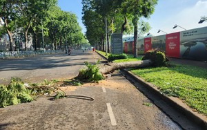 Công nhân căng sức dọn cây xanh, biển hiệu ngã đổ ở nhiều tuyến đường TP.HCM sau trận mưa lớn tối 22/6
