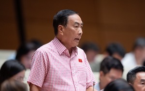 ĐBQH Phạm Văn Hoà: Cân nhắc về luật Lực lượng an ninh, trật tự cơ sở nếu tăng chi ngân sách