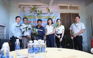 Mô hình “Vườn cây nông dân” chào mừng Đại hội Công đoàn Viên chức tỉnh Quảng Nam nhiệm kỳ 2023-2028