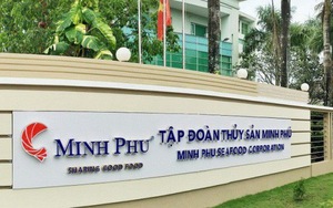 Giá tôm nuôi cao không bán được hàng, Thủy sản Minh Phú (MPC) lên kế hoạch lãi giảm 20%