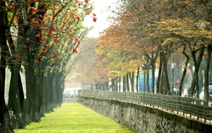 Ký ức Hà Nội: Lâng lâng cảm xúc khi nhớ về mùa thu ở Thủ đô