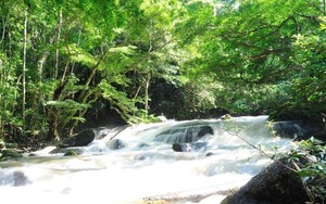 Khu Bảo tồn thiên nhiên Nam Nung: Phát triển du lịch gắn với bảo tồn hệ sinh thái rừng