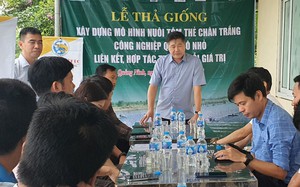 Con tôm đem về hơn 1.400 tỷ đồng, tỉnh Quảng Ninh xây dựng tổ hợp tác nuôi tôm theo chuỗi giá trị