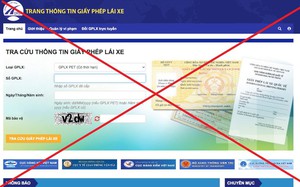 Xuất hiện nhiều website giả mạo tra cứu, cấp đổi giấy phép lái xe