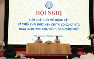 Nghịch lý ở Hà Nội: Đầu tư dây chuyền giết mổ hiện đại thì ế, đành quay về giết mổ trên sàn để... tồn tại