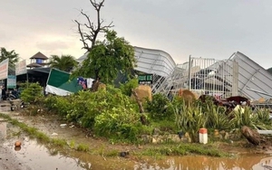  Bình Thuận: Mưa lớn kèm lốc xoáy khiến 2 người bị thương, hơn 350ha lúa bị ngập