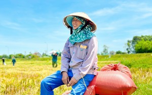Nông dân Nghệ An ra đồng từ 3h sáng, gặt nốt khoảnh đồng lúa xuân cuối cùng trong cái nắng 40°C