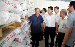 Lãnh đạo tỉnh Thừa Thiên Huế làm việc với Tập đoàn Quế Lâm về phát triển nông nghiệp hữu cơ