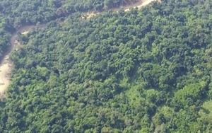 Quảng Ngãi được đầu tư gần 115 tỷ đồng thực hiện dự án rừng Kfw9, giai đoạn 1