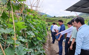 Sa Pa: Công tác Hội và phong trào nông dân có nhiều chuyển biến thiết thực, hiệu quả 