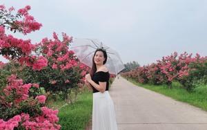 Đường hoa nông thôn mới đẹp như mơ ở một huyện của Hà Nội, người thiên hạ đến quay phim, chụp ảnh cưới