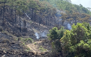 Liên tiếp 2 vụ cháy rừng trong ngày ở Quảng Ninh khiến 2 người thiệt mạng