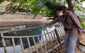 Hà Nội: Nguy hiểm rình rập người đi bộ bên cạnh lan can bờ sông "bật gốc"