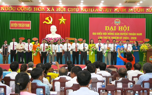 Ninh Thuận: Ông Phan Ngọc Minh tái đắc cử Chủ tịch Hội Nông dân huyện Thuận Nam