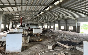 Nghệ An: Nhà máy bột giấy nghìn tỷ bỏ hoang hóa thành xưởng băm gỗ