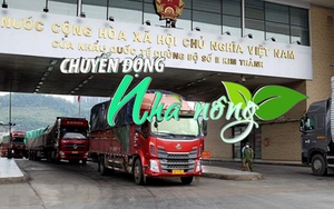 Chuyển động Nhà nông 8/6: Bộ NN&PTNT đề xuất Hải quan Trung Quốc sớm ký Nghị định thư về an toàn thực phẩm