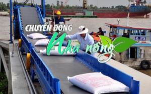 Chuyển động Nhà nông 9/6: Việt Nam trở thành nước xuất khẩu gạo lớn nhất vào Trung Quốc