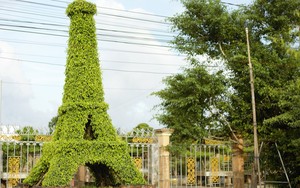 Làng "kỳ hoa dị thảo" ở Nam Định (bài 1): Đất tổ nghề trồng cây cảnh, ông tổ là Thái úy vương triều nhà Lý