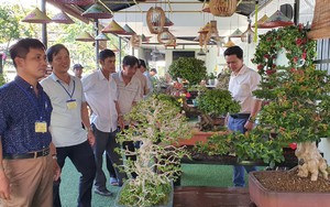 Xuất hiện 40 cây cảnh bonsai dáng độc lạ chưa từng có ở một xã của tỉnh Khánh Hòa 
