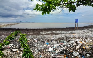 TP.HCM: Rác thải nhựa gây ô nhiễm môi trường trong nuôi trồng thủy sản