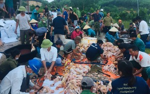Hà Tĩnh: 200 người xuyên đêm hỗ trợ chủ trang trại sơ chế đàn gà khổng lồ bị chết do sự cố