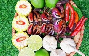 Đặc sản Cà Mau, vùng biển này trên trời dưới là các con vật nuôi-cua Cà Mau to bự thế này đây - Ảnh 3.