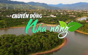 Chuyển động Nhà nông 12/7: Quảng Trị lên kịch bản ứng phó hạn hán đến năm 2025