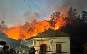 Nghệ An: Cháy rừng thông Nam Đàn, hàng nghìn người gia dập lửa, nhiều người bị ngạt khói