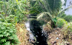 Nước thải xả thẳng ra môi trường khiến kênh, rạch đen ngòm, huyện này ở TP.HCM gặp khó khi nâng chất nông thôn mới